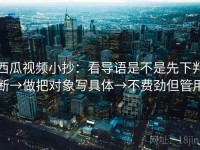 西瓜视频小抄：看导语是不是先下判断→做把对象写具体→不费劲但管用
