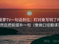 菠萝TV一句话到位：盯对象写明了吗然后把前提补一句（像做口径翻译）