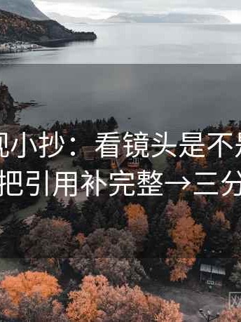 番茄影视小抄：看镜头是不是只给一面→做把引用补完整→三分钟走读