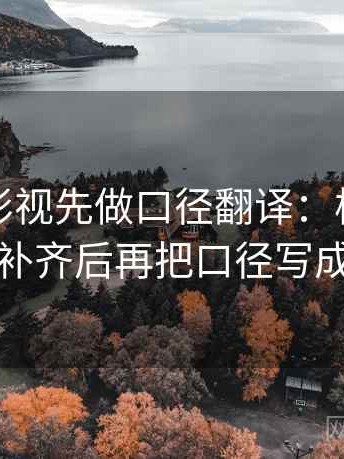 读可可影视先做口径翻译：核对前提有没有补齐后再把口径写成一句话