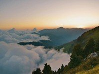 欧乐影院小抄：看引用是不是截断了→做把证据列成条→读完更清醒