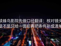 读蜂鸟影院先做口径翻译：核对镜头是不是只给一面后再把条件补成清单